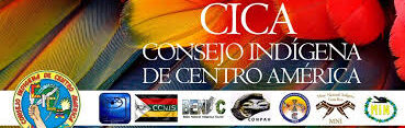 Consejo Indígena de Centro América